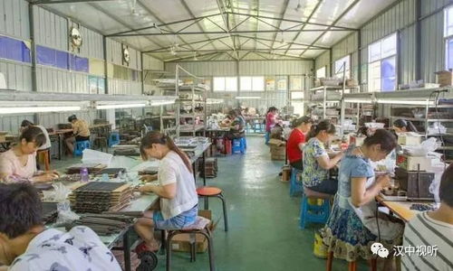 剛剛,勉縣亮出脫貧成績單,不僅甩掉貧困帽子還躋身全省 十強縣